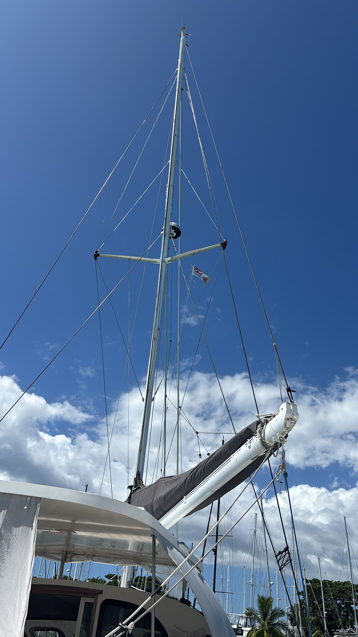 Prospective yacht buyer viewing sailboats in a marina